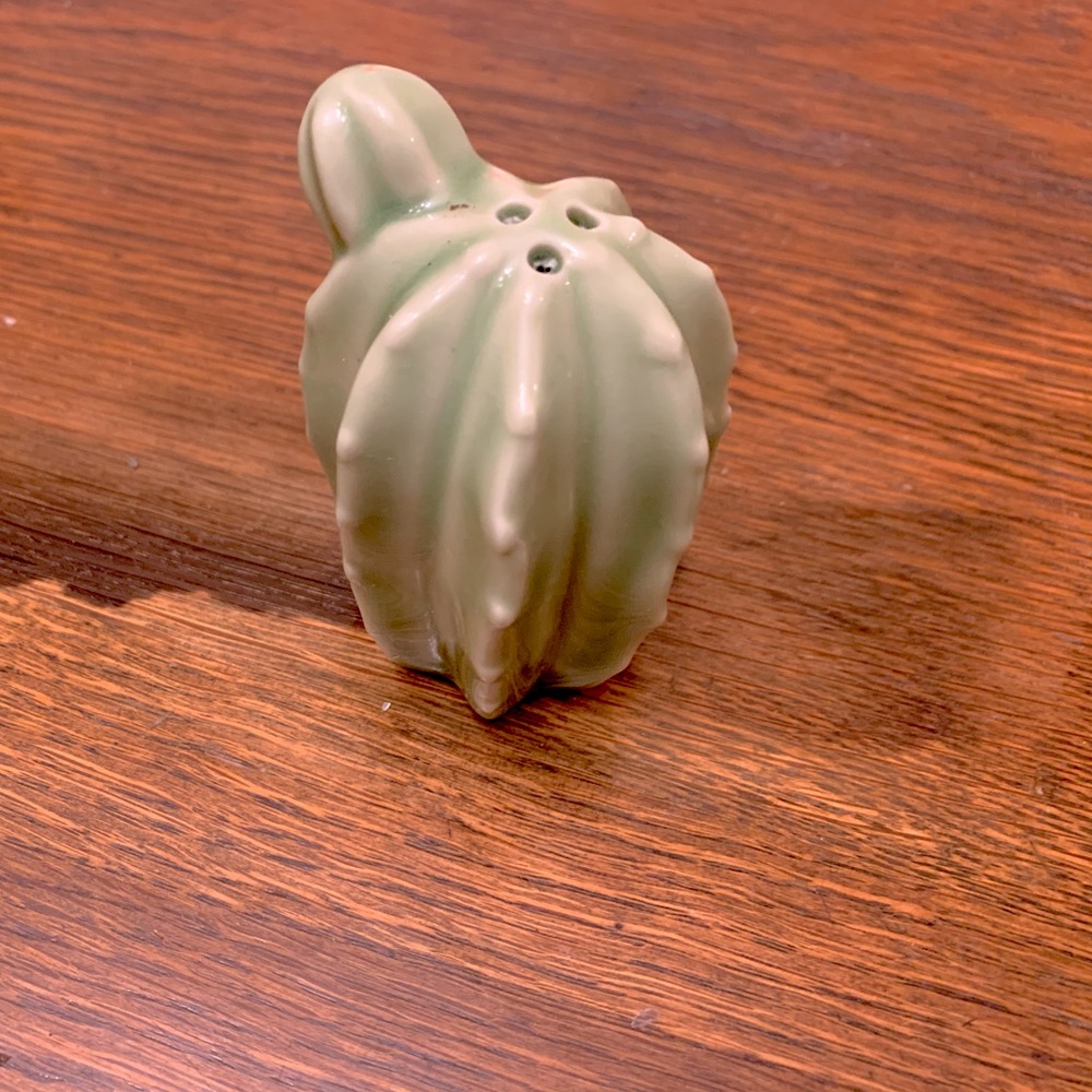 Adorable Green Cactus Salt Shaker